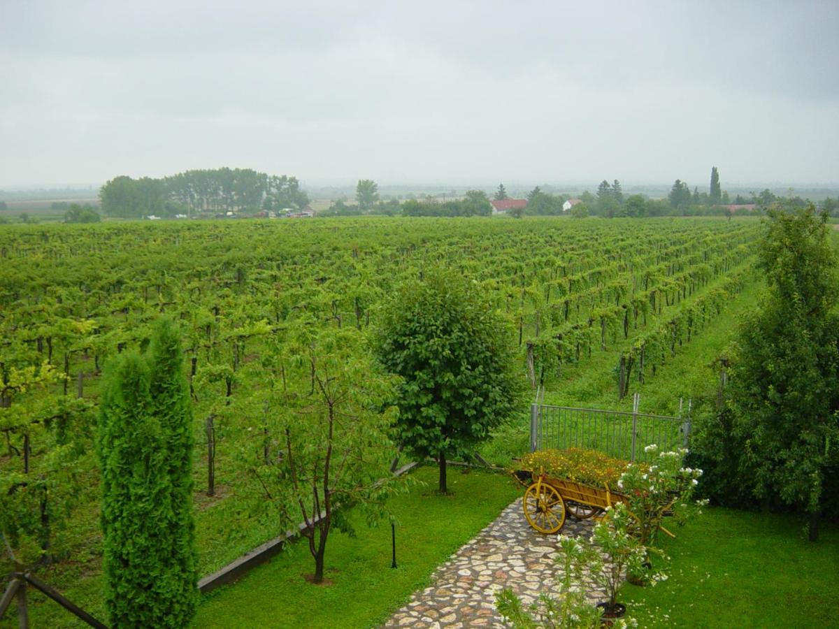 Nitt Pince Es Panzio Bed and Breakfast Kisharsány Buitenkant foto